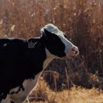 WhatsApp Image 2020-09-03 at 17.08.53